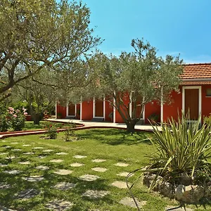  Apart-hotel Dendrolivano